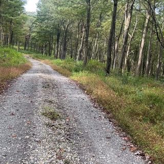 In the hills above Johnstown there’s a secret stash of gravel with no Strava segments. We’re excited to show you at @highergroundhundo but let’s also keep it that way. 
Sunday, November 2nd
BikeReg.com/higherground
@paenvironmentalcouncil
Community Foundation for the Alleghenies
@stansnotubes, @footdowncc, @nittanymountainworks, @newtrailbrewing @endotuneup, @fatjimmyscycles, @hushmoneybikes, @freezethawcycles, @buythomas
@johnstownfloodnps, @visitjohnstownpa
@womenshelpcenter
