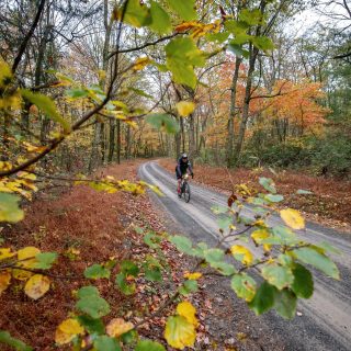 As you ride deeper into the forests of Pennsylvania you'll find purpose.
#easyontheeyeshardonthelegs #IPAgravel
unPAved of the Susquehanna River Valley: October 11, 2026
Sign up at bikereg.com/unpaved-of-the-susquehanna-river-valley
#easyontheeyeshardonthelegs #IPAgravel
#RaceforWhoopiePies
#PierogiPace
 #SlumberParty
#BigLick200 
#YouHaveAFriendInPennsylvania
——
@susquehannarivervalley
@WellSpan_Health
@stansnotubes
@laufcycles
@backyardbeanscoffee
@schwalbetires
@newtrailbrewing, @rustyrailbrewing, @endotuneup
@nittanymountainworks, @phillybikeexpo, @purplelizardmaps, @carborocket
@hushmoneybikes, @dutchwheelmanbikes, @thebikeroost, @svbikes, Links Cyclery, Brookside Bikes, @cycleupcafe, @freezethawcycles
@themillercenter
unPAved supports (and is supported by) @paenvironmentalcouncil & @pvpedalsandpints