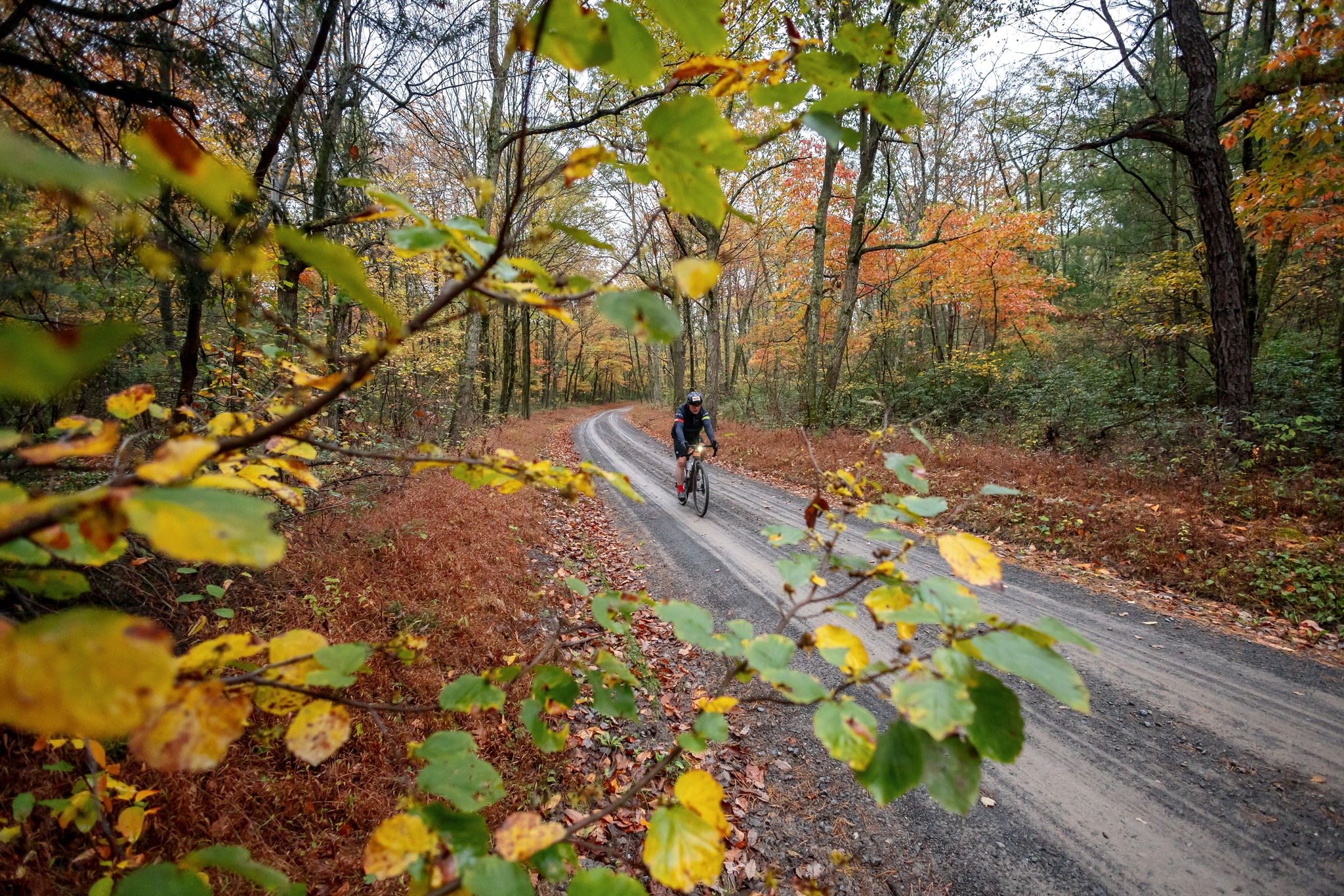 As you ride deeper into the forests of Pennsylvania you'll find purpose.
#easyontheeyeshardonthelegs #IPAgravel
unPAved of the Susquehanna River Valley: October 11, 2026
Sign up at bikereg.com/unpaved-of-the-susquehanna-river-valley
#easyontheeyeshardonthelegs #IPAgravel
#RaceforWhoopiePies
#PierogiPace
 #SlumberParty
#BigLick200 
#YouHaveAFriendInPennsylvania
——
@susquehannarivervalley
@WellSpan_Health
@stansnotubes
@laufcycles
@backyardbeanscoffee
@schwalbetires
@newtrailbrewing, @rustyrailbrewing, @endotuneup
@nittanymountainworks, @phillybikeexpo, @purplelizardmaps, @carborocket
@hushmoneybikes, @dutchwheelmanbikes, @thebikeroost, @svbikes, Links Cyclery, Brookside Bikes, @cycleupcafe, @freezethawcycles
@themillercenter
unPAved supports (and is supported by) @paenvironmentalcouncil & @pvpedalsandpints